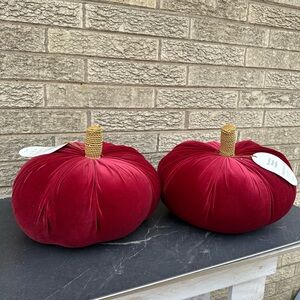 Velvet Pumpkin  - Threshold: Novelty Plush Throw Pillow.  burgundy